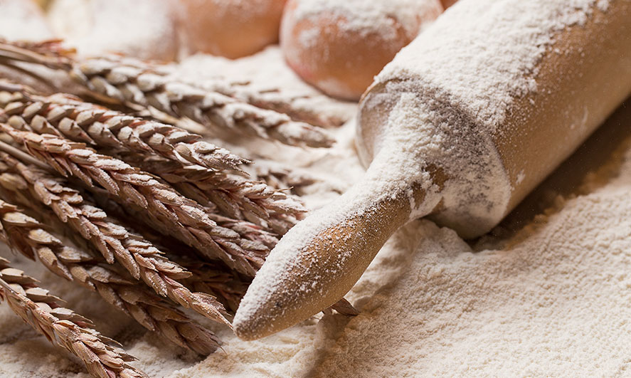 Gritsly-E250-corn-flour-single Gritsly-E250-corn-flour-single
