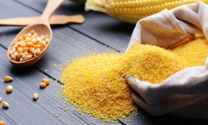 Gritsly-white-yellow-b-grit-single Gritsly-white-yellow-b-grit-single