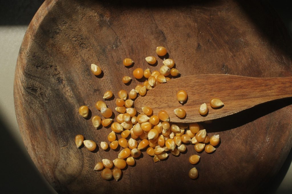 corn-3794098_1280